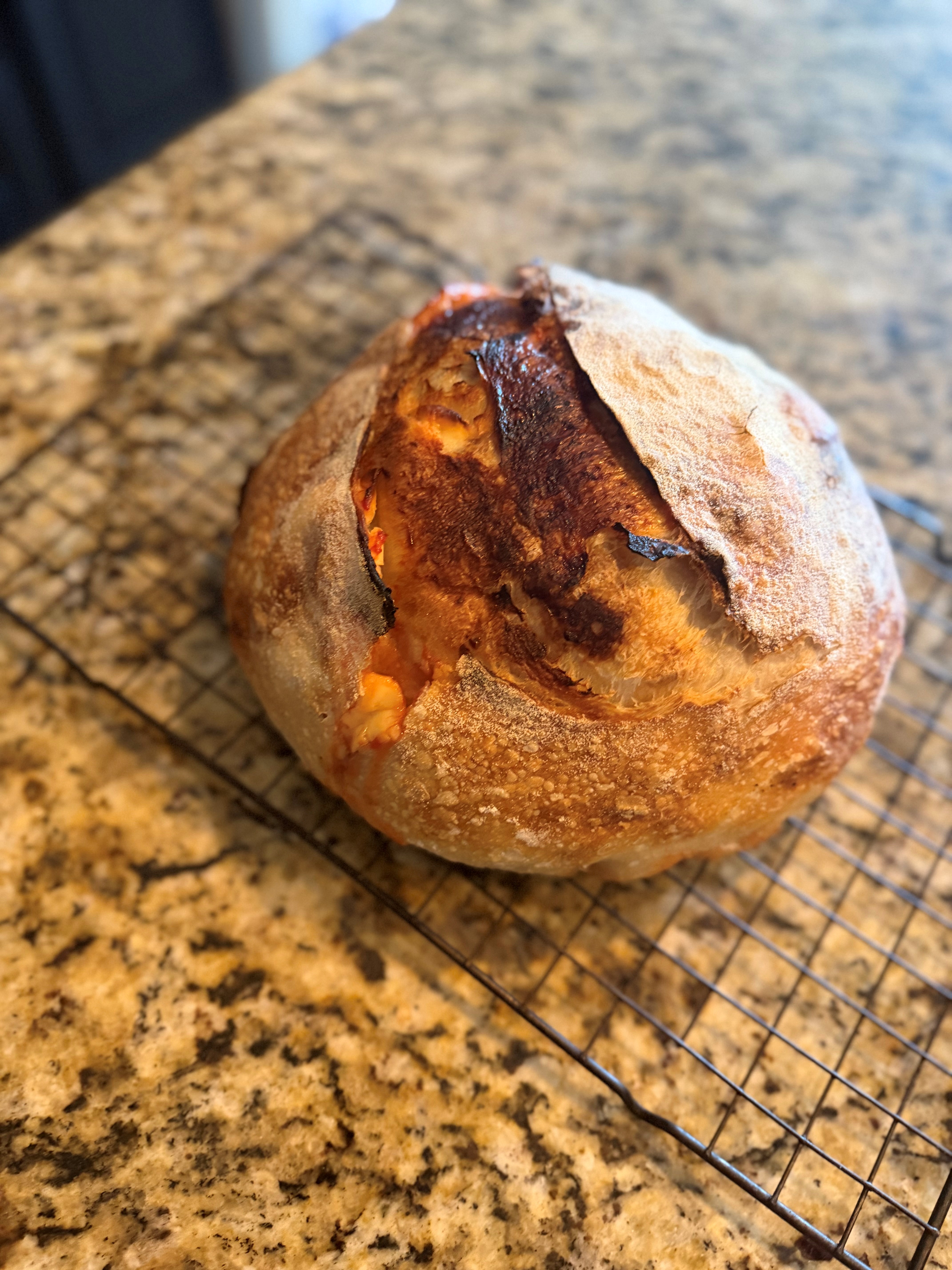 Golden sourdough loaf in hand